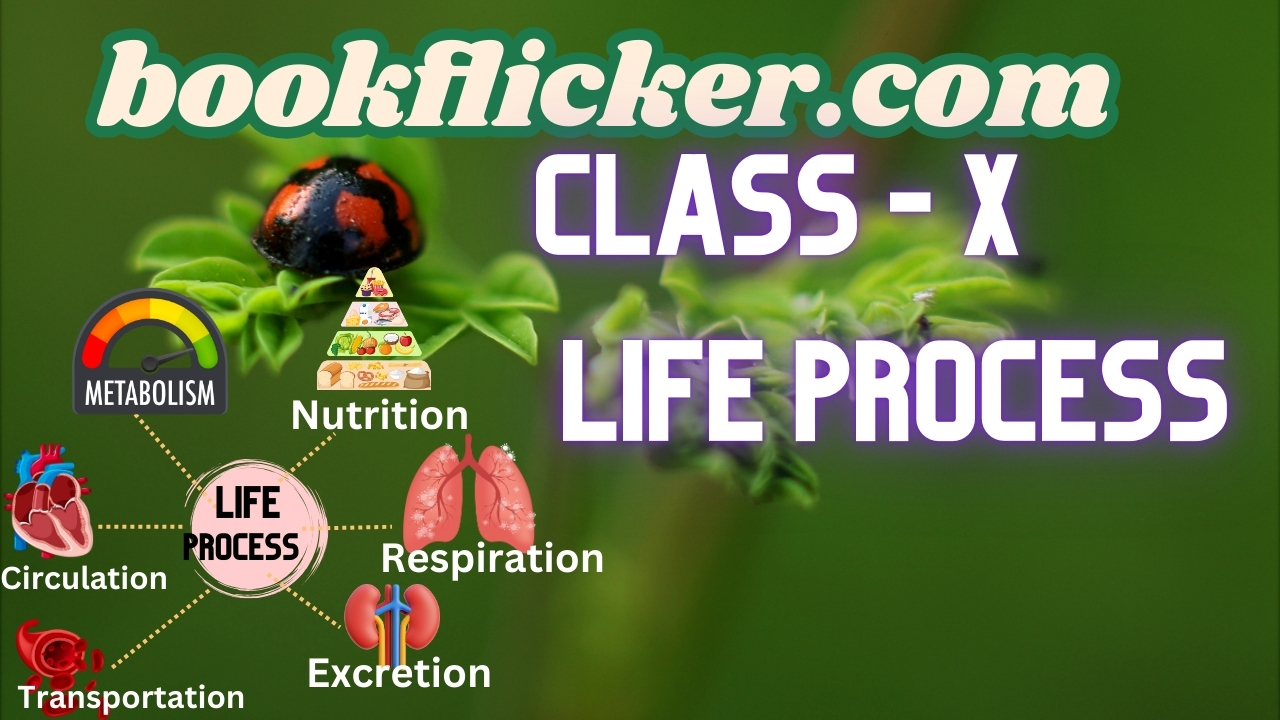 class 10 life processes notes